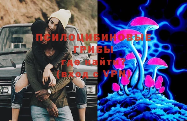 мдпв Заволжск