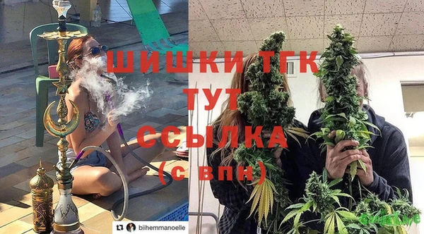 герыч Ельня