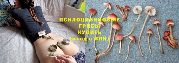прущие грибы Заволжье