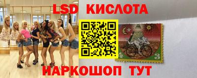 ПСИЛОЦИБИНОВЫЕ ГРИБЫ Кингисепп