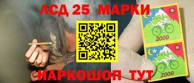 ПСИЛОЦИБИНОВЫЕ ГРИБЫ Кингисепп