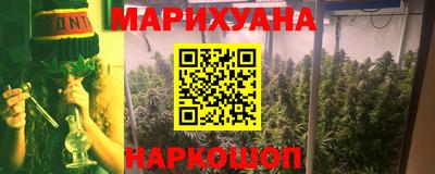 шишки Аргун