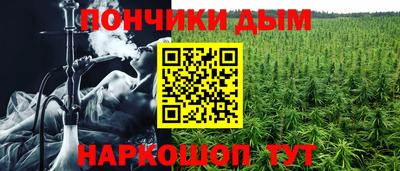 ПСИЛОЦИБИНОВЫЕ ГРИБЫ Кингисепп