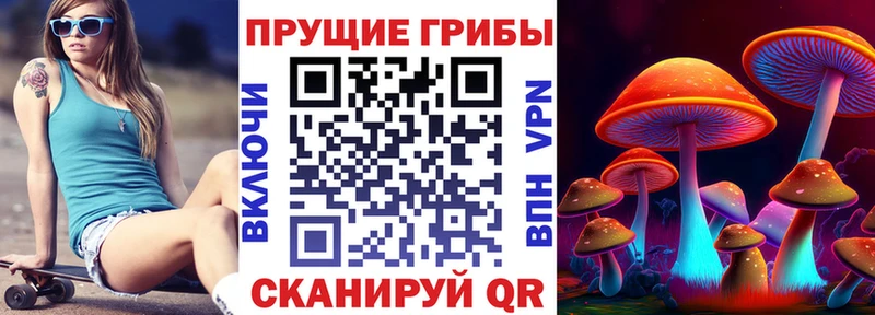 Купить  Энгельс  Псилоцибиновые грибы GOLDEN TEACHER 