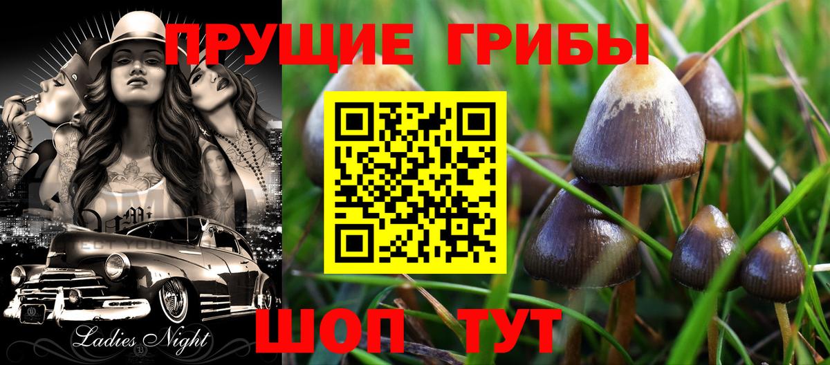 Псилоцибиновые грибы Cubensis  Вход с VPN  Энгельс 