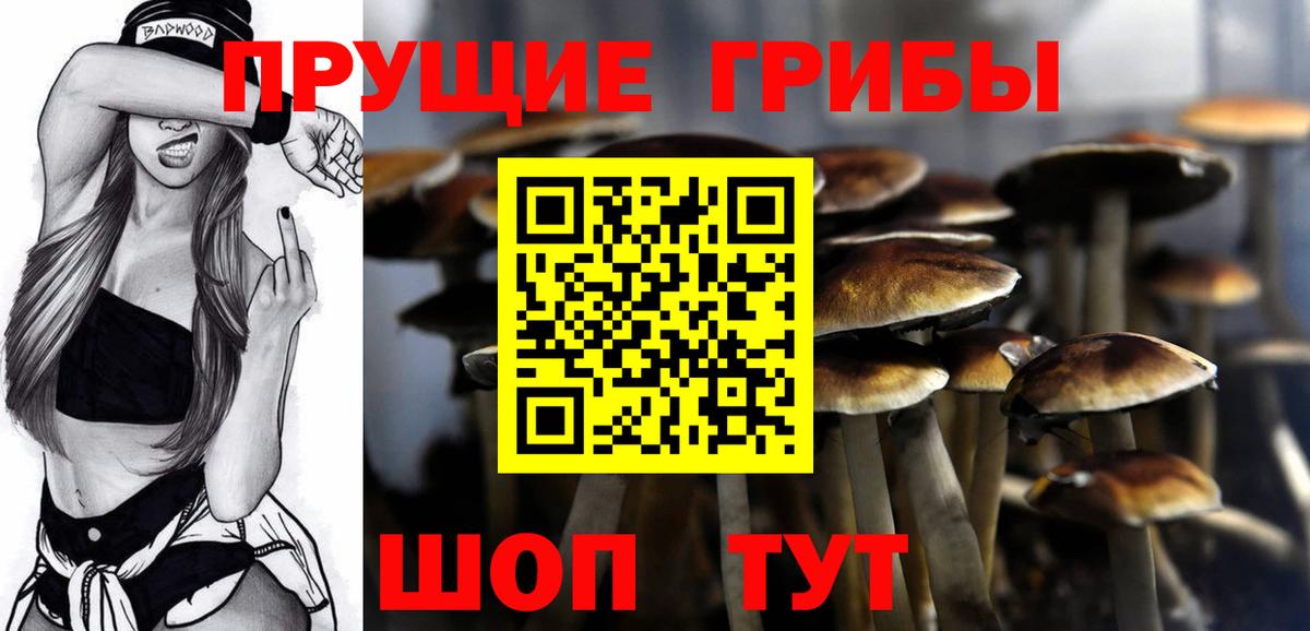 Энгельс  Псилоцибиновые грибы GOLDEN TEACHER  где купить наркоту  Вход с VPN 