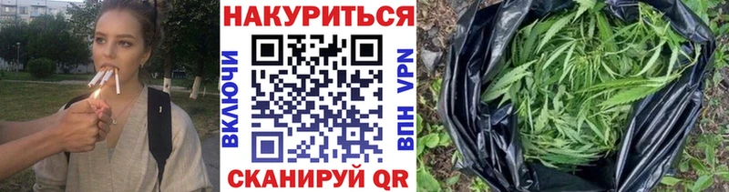Шишки марихуана сатива Энгельс